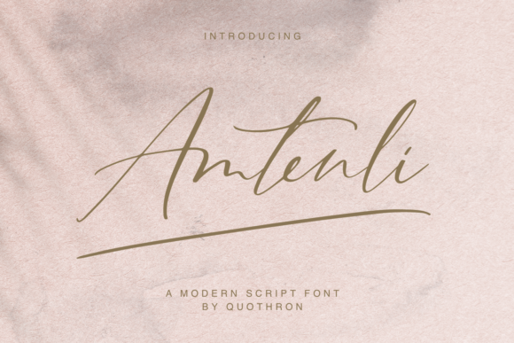 Amtenli Script: A Graceful Typeface for Web Design