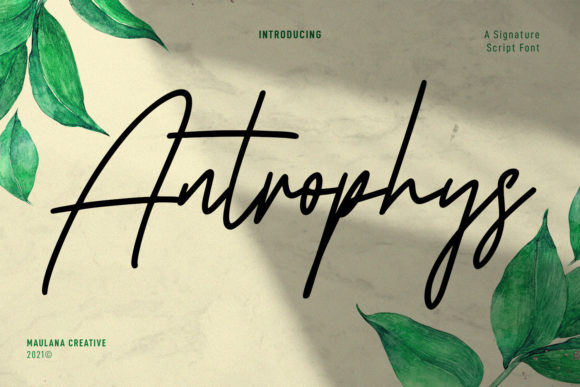 Antrophys Script: A Playful Typeface for Bold Campaigns