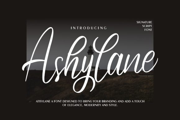 Ashylane Script: A Charming Typeface for Brand Identity