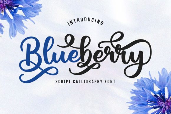 Blueberry Script: A Premium Typeface for Digital Design