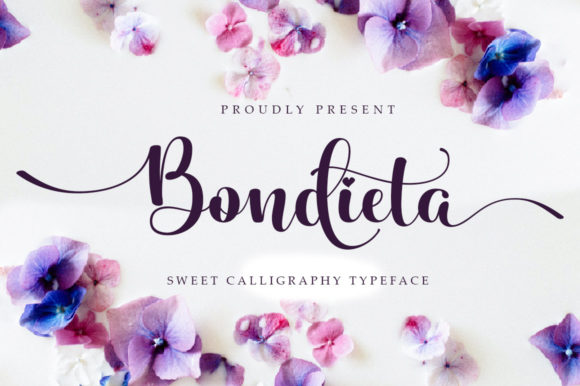 Bondieta Script: A Web Designer's Review