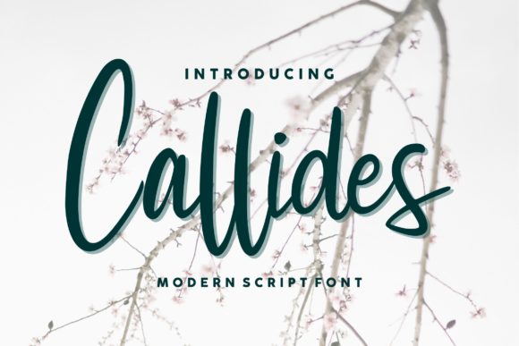 Callides Script: A Romantic Typeface for Web Design