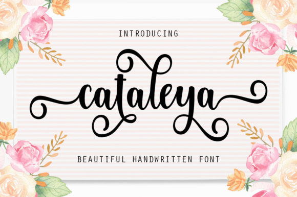 Cataleya Script: A Designer's Real-World Review
