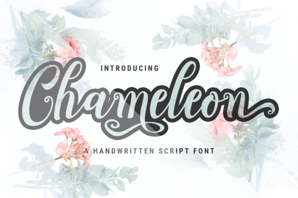 Chameleon Script: A Designer's Real-World Review