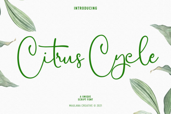 Citrus Cycle Script: The Elegant Font for Campaigns