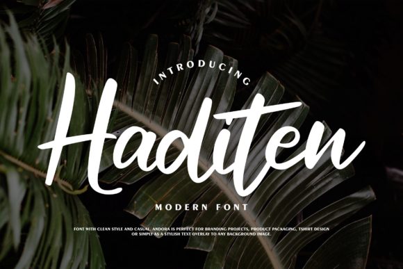 Haditen Script: The Confident Typeface for Campaigns