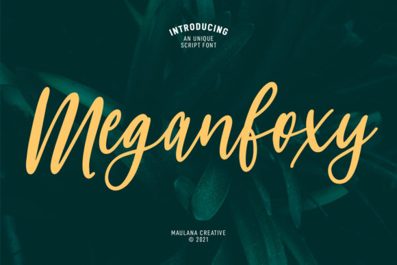 Meganfoxy Script: A Web Designer's Review