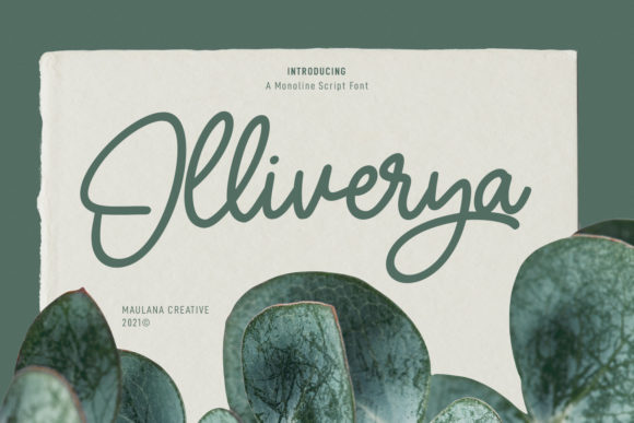 Olliverya Script: A Web Designer's Review